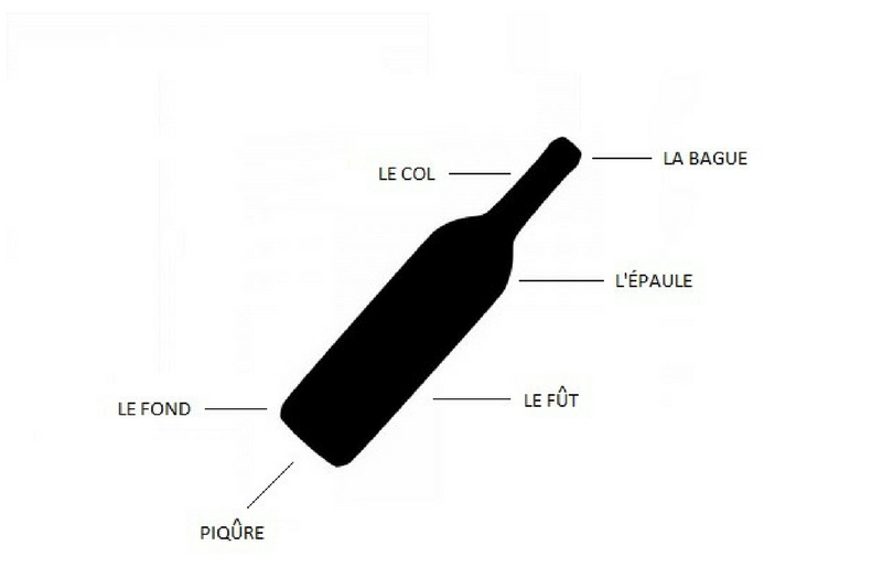 Bouteille de vin : les détails de son anatomie - Borde-Rouge