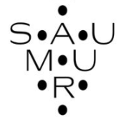 Les Vins de Saumur