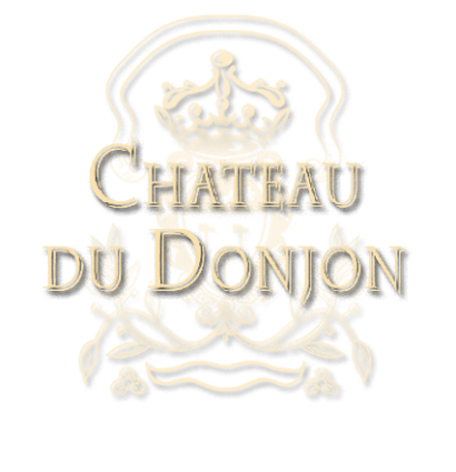 Château du Donjon 