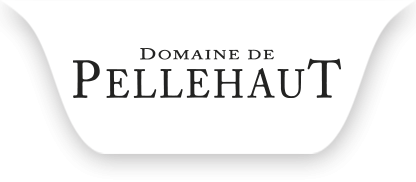 Domaine De Pellehaut