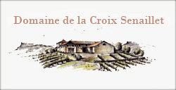 Domaine de la Croix Senaillet - Martin Richard et Stéphane