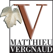 Matthieu Vergnaud