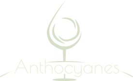 Anthocyanes