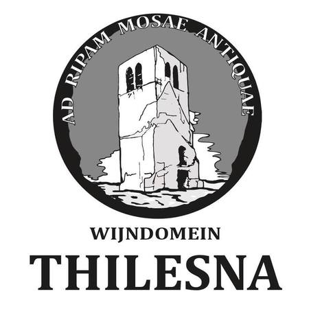 Wijndomein Thilesna